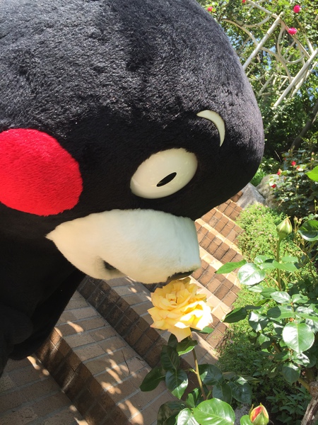なばなの里 097-2.JPG